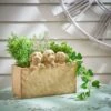 Set Of 3 Cockapoo Planters 2 Set Of 3 Cockapoo Planters -Online Home Furnishings 30798149