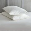 Pack Of 2 Duck Feather Back Sleeper Pillows -Online Home Furnishings 30816630