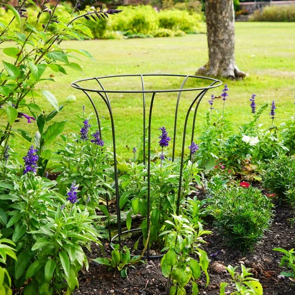 Outdoor Fluted Plant Support Climber 3 Outdoor Fluted Plant Support Climber