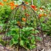 Outdoor Wire Netted Plant Protector 2 Outdoor Wire Netted Plant Protector -Online Home Furnishings 30849551