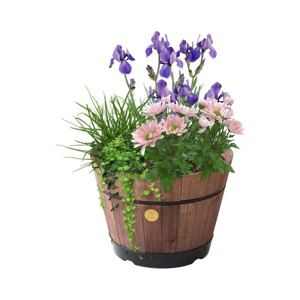 VegTrug Medium Build A Barrel Kit 11 VegTrug Medium Build A Barrel Kit - Image 9