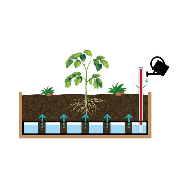 VegTrug Medium Wall Hugger Self Watering Kit 5 VegTrug Medium Wall Hugger Self Watering Kit - Image 3