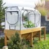VegTrug Medium Classic Greenhouse Frame And Multi Cover Set 2 VegTrug Medium Classic Greenhouse Frame And Multi Cover Set -Online Home Furnishings 30890314