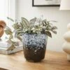 Spotty Reactive Glaze Plant Pot -Online Home Furnishings 30923184