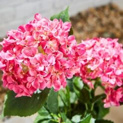 Artificial Hydrangea In Plant Pot 9 Artificial Hydrangea In Plant Pot -Online Home Furnishings 30925749 alt01