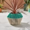 Two Tone Woven Plant Pot -Online Home Furnishings 30925784