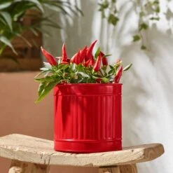 Small Bright Metal Plant Pot 12 Small Bright Metal Plant Pot -Online Home Furnishings 30926675