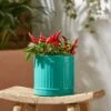 Small Bright Metal Plant Pot 2 Small Bright Metal Plant Pot -Online Home Furnishings 30926678