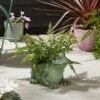 Resin Frog Plant Pot -Online Home Furnishings 30927987