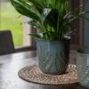 Kew Embossed Fern Plant Pot 2 Kew Embossed Fern Plant Pot -Online Home Furnishings 30937046
