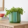 Elements Striped Ceramic Plant Pot -Online Home Furnishings 30943041