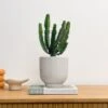 Ribbed Ceramic Plant Pot 2 Ribbed Ceramic Plant Pot -Online Home Furnishings 30971691