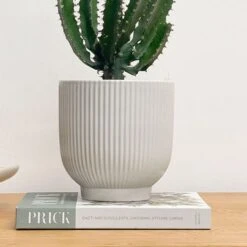 Ribbed Ceramic Plant Pot -Online Home Furnishings 30971691 alt01