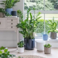 Lisbon Ceramic Plant Pot -Online Home Furnishings 30976778 alt09